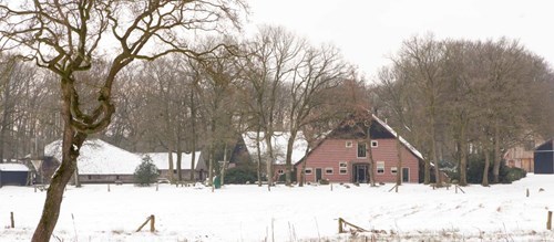 Bekijk meer