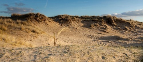 Bekijk deze veiling