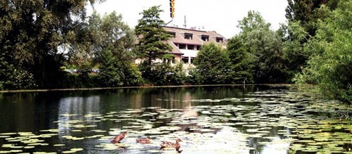 Bekijk meer