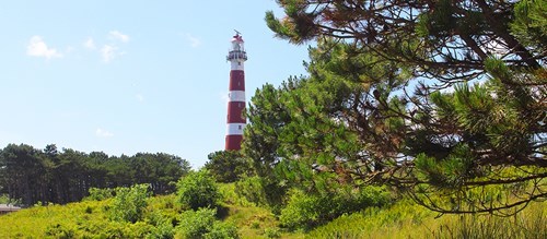 Avondveiling