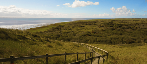 Bekijk meer